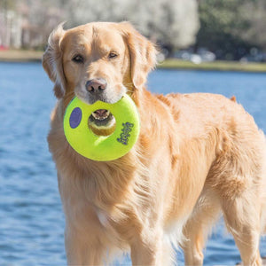 Kong Airdog Squeaker Donut Dog Toy image 1