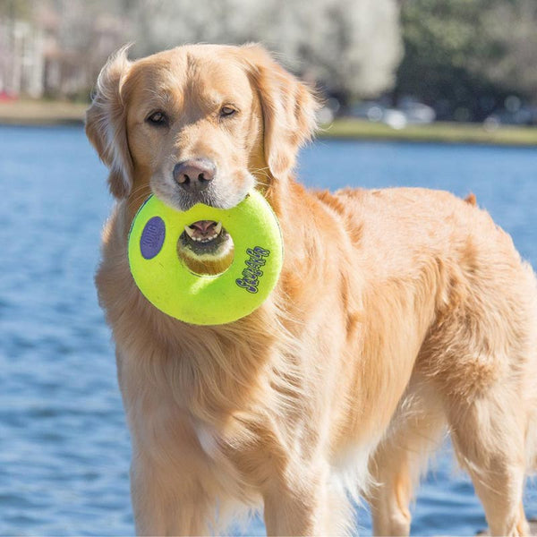 Kong Airdog Squeaker Donut Dog Toy image 1