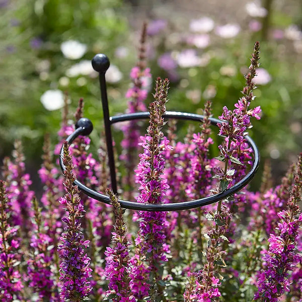 Tom Chambers Single Stem Metal Plant Support - Large image 1