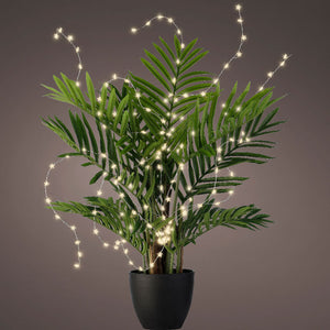 Lumineo 60 Micro LED Star Shaped Plant Lights image 4