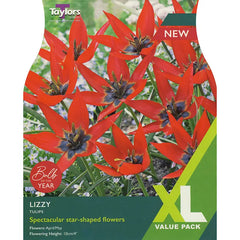 Tulip 'Lizzy' (20 bulbs) image 0