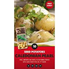 Caledonian Pearl First Early Seed Potatoes (Pack of 10) image 0