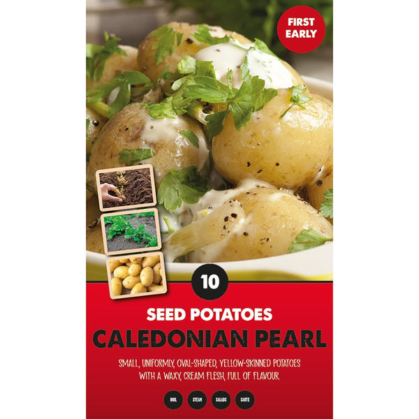 Caledonian Pearl First Early Seed Potatoes (Pack of 10) image 0