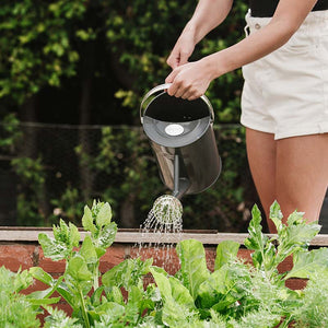 Westland Organic Vegetable Specialist Liquid Feed 1 Litre image 3
