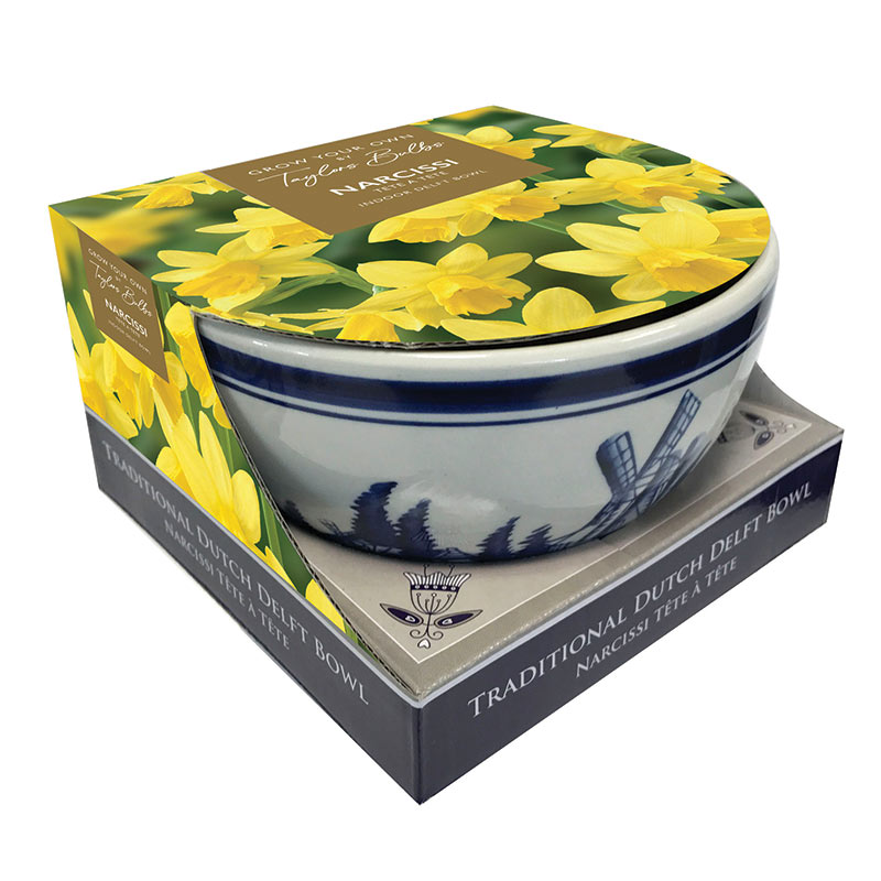 Indoor Delft Bowl Narcissus ‘Tête-à-tête’ Daffodil Set (4 Bulbs) image 0