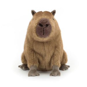Jellycat Clyde Capybara image 3