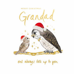 Woodmansterne Wise Owl Christmas Card image 0