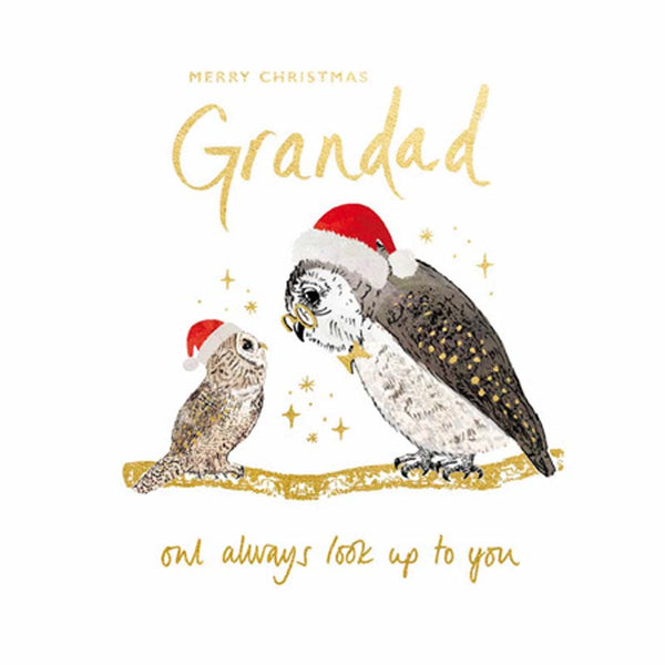Woodmansterne Wise Owl Christmas Card image 0