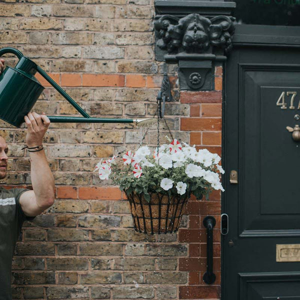 Haws The Warley Fall Watering Can (1 Gallon) image 6