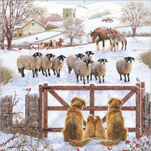 Family Of Dogs Christmas Cards (Pack of 10)