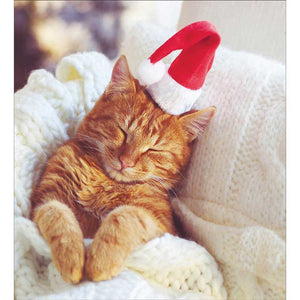 Woodmansterne Charity Christmas Cards - Excited for Christmas (Pack of 5) image 0