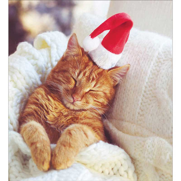 Woodmansterne Charity Christmas Cards - Excited for Christmas (Pack of 5) image 0