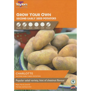 Charlotte Second Early Seed Potatoes - Pack of 10 image