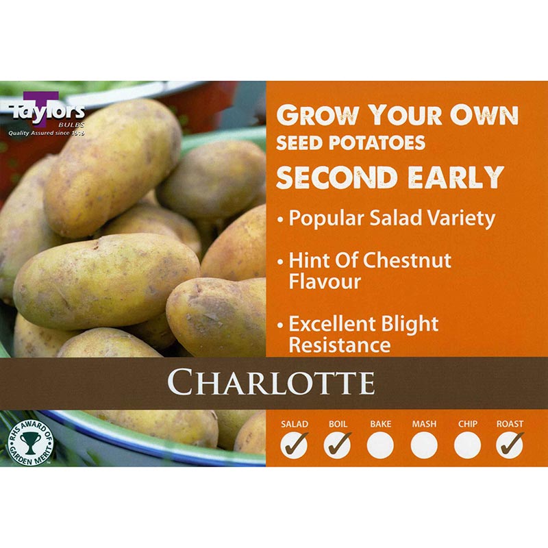 Charlotte Second Early Seed Potatoes image 0
