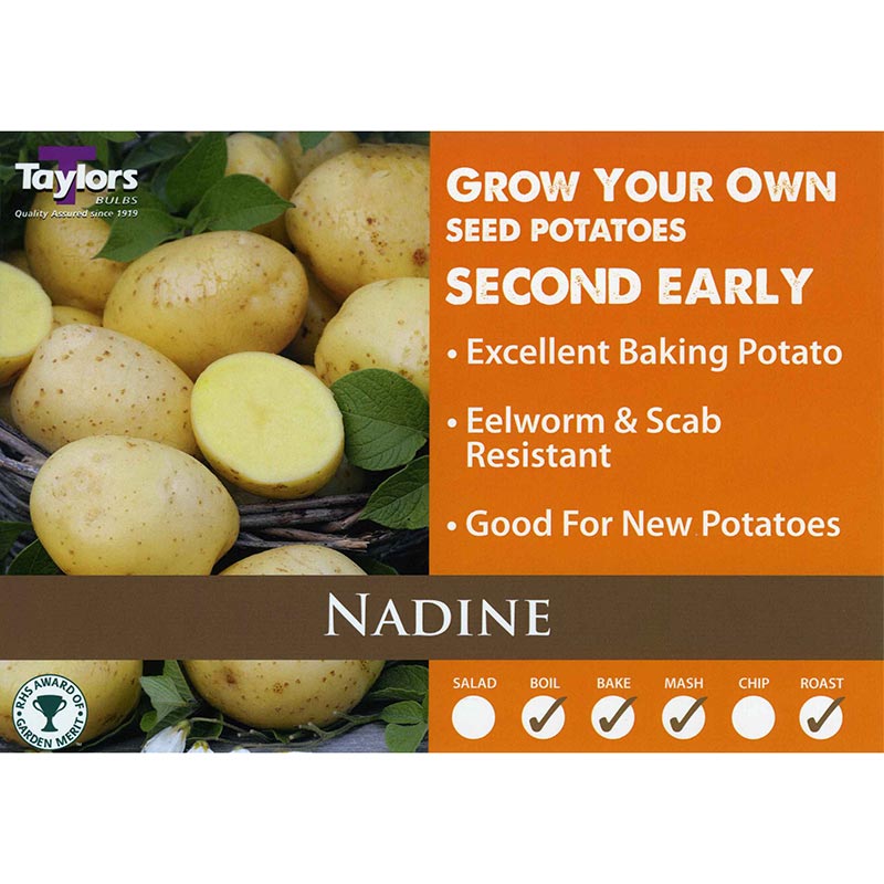 Nadine Second Early Seed Potatoes image 0