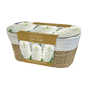 Large Wicker Basket White Hyacinth Planter (5 bulbs) image 0