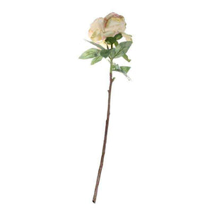 Single Cream Blush Peony Stem (71cm) image 2