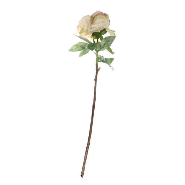 Single Cream Blush Peony Stem (71cm) image 2
