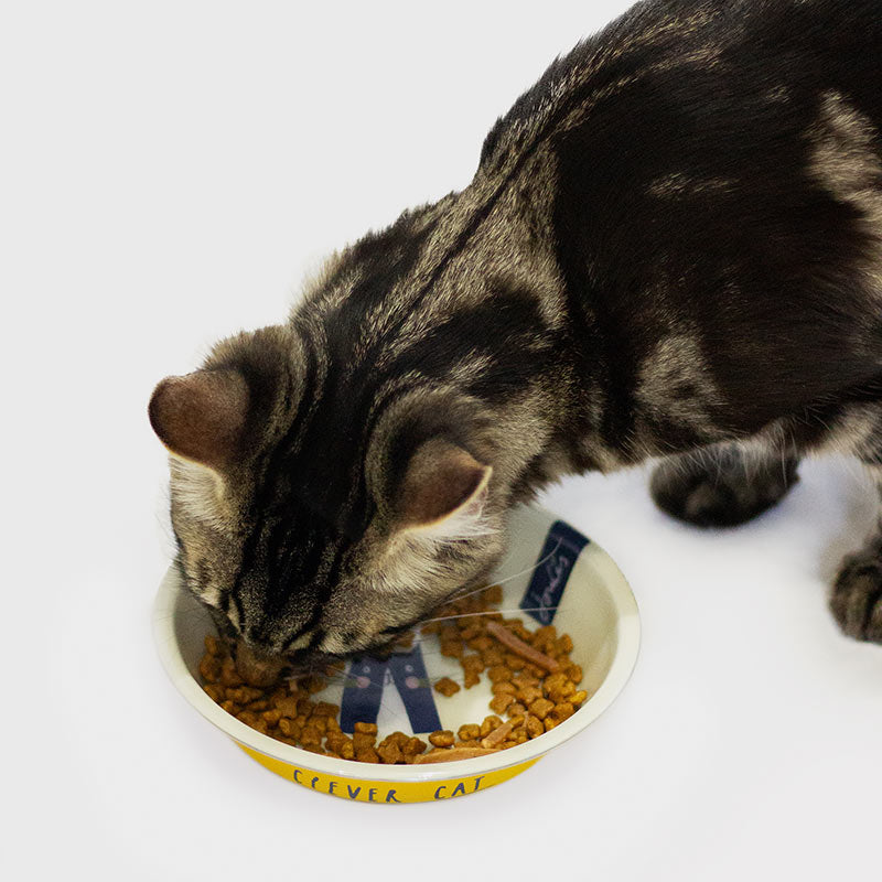 Joules Clever Cat Bowl image 0