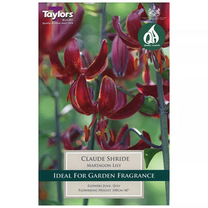 Lilium 'Claude Shride' (2 bulbs) image 0