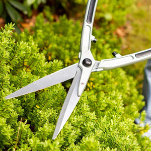 Darlac Lightweight Shears 8" image 1