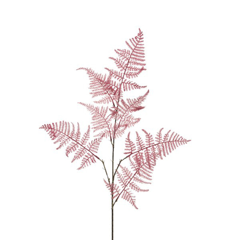 Everlands Cerise Asparagus Stem (85cm) image 0