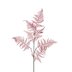 Everlands Cerise Asparagus Stem (85cm) image 0