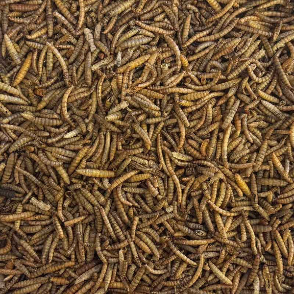 Johnston & Jeff Mealworm & Calciworm Combo 1kg image 2