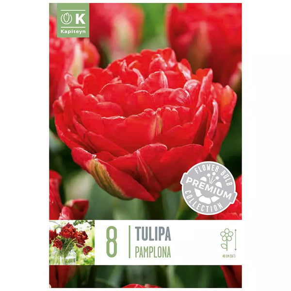 Tulip 'Pamplona' (8 bulbs) image 0