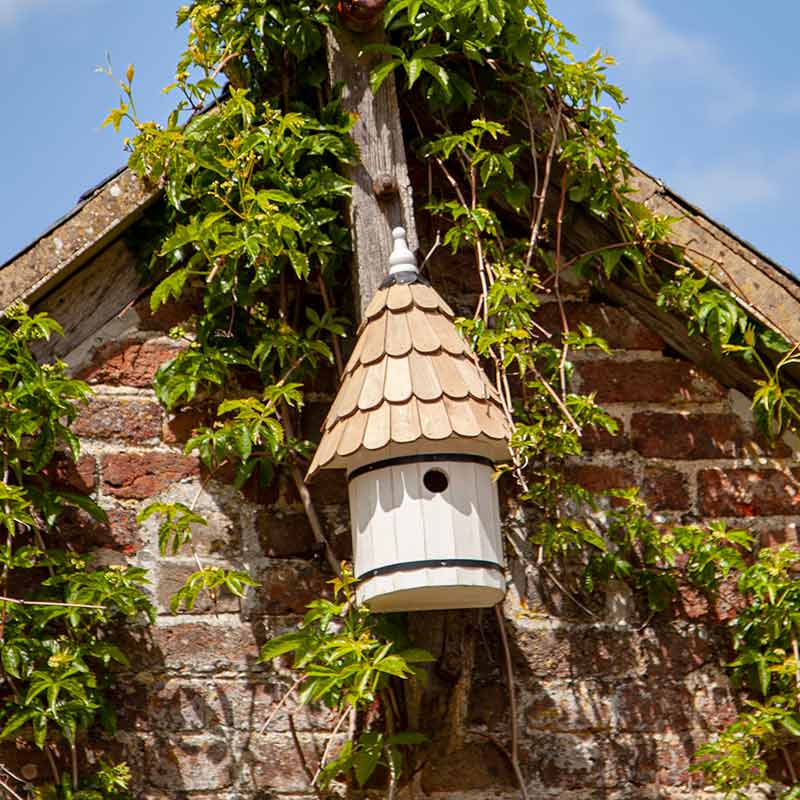 Wildlife World Dovecote Nest Box image 0