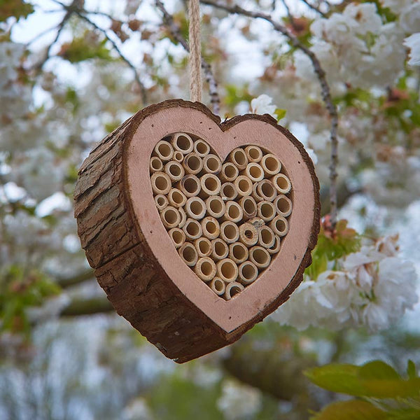 Tom Chambers Bee Love Heart image 0