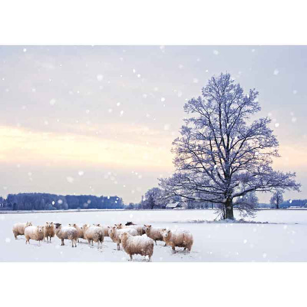 Ling Design Big Value Box - Winter Scenes (Pack of 24) image 6