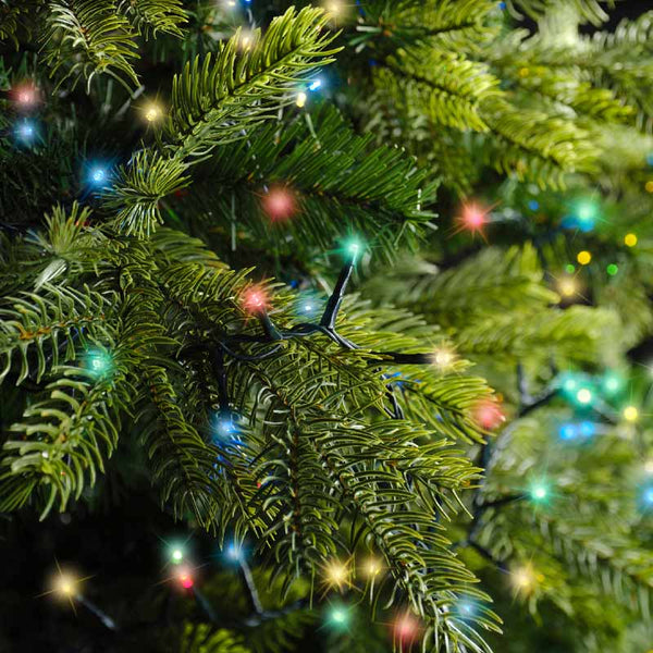 Lumineo Compact Twinkle String Lights image 13