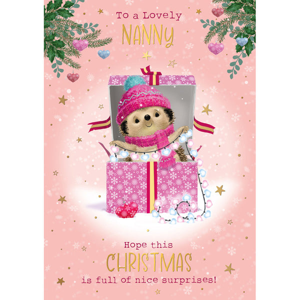Words N Wishes Cute Hedgehog Nanny Christmas Card image 0