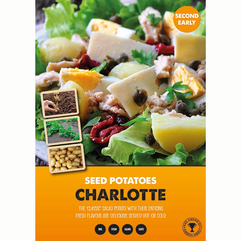 Charlotte Second Early Seed Potatoes (2kg Bag) image 0