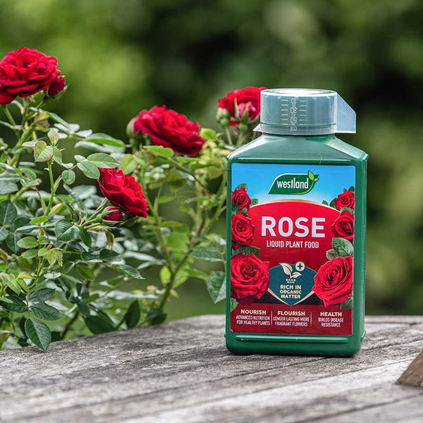 Westland Liquid Rose Feed (1 Litre) image 2
