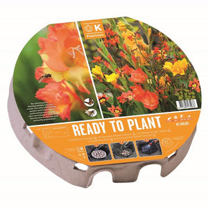 Ready to Plant Plant-O-Mat 'Wild Blooms' 38cm/15" (45 bulbs) image 0