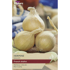 Hermine French Shallot Sets (Pack of 10) image 0