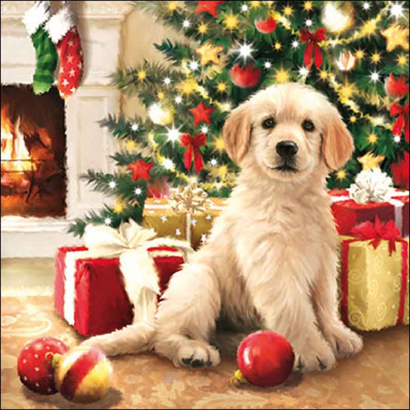 Ambiente Paper Napkins - Waiting For Presents (Pack of 20) image 0