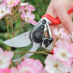 Darlac Expert Bypass Pruner image 1