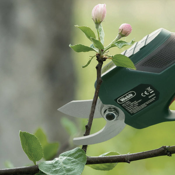 Webb WE7.2SEC 7.2V Cordless Pruning Secateurs cutting a rose