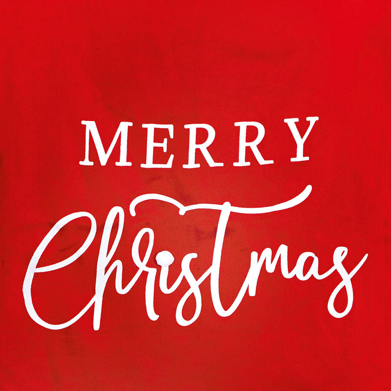 Premier Merry Christmas Sack image 0