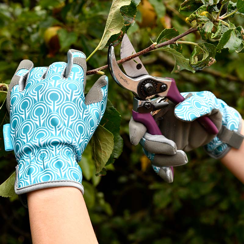 Burgon & Ball Kneelo® Garden Kneeler & Gardening Gloves Bundle - Eucalyptus image 0
