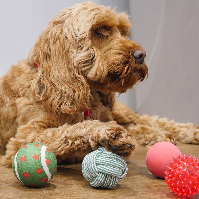 Cupid & Comet Christmas Ball Gift Pack image 0