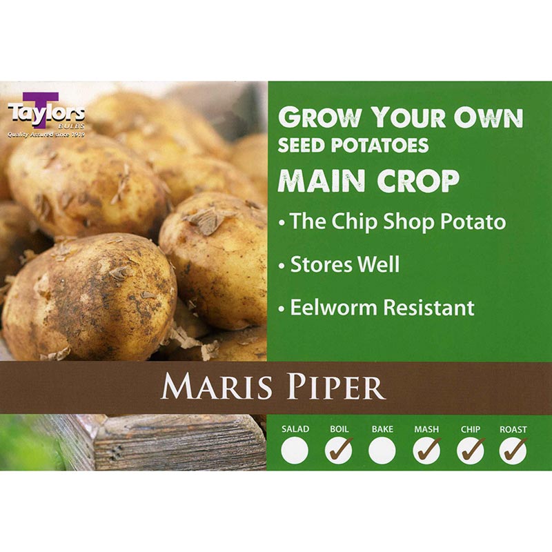 Maris Piper Main Crop Seed Potatoes image 0