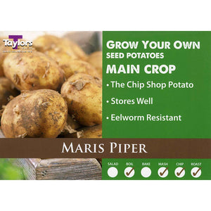 Maris Piper Main Crop Seed Potatoes - 2kg image