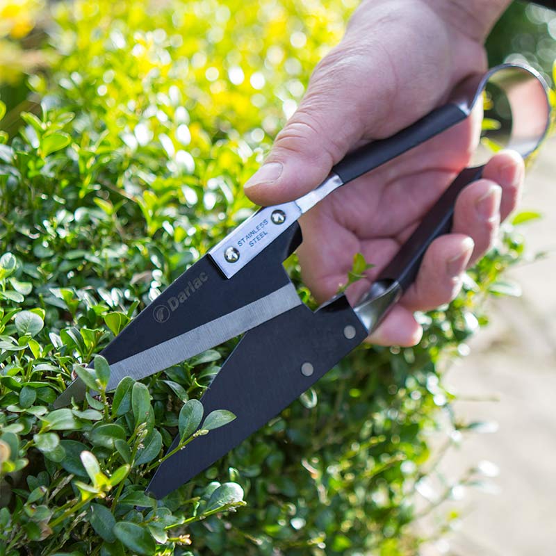Darlac Stainless Steel Topiary Shears image 0