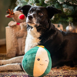 Cupid & Comet 'Blitzen Bauble' Dog Toy image 4