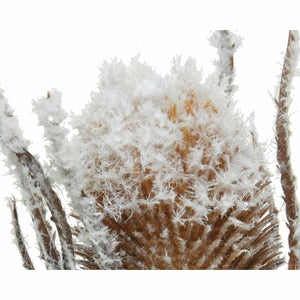Everlands Frosted Teasel Stem (74cm) image 1