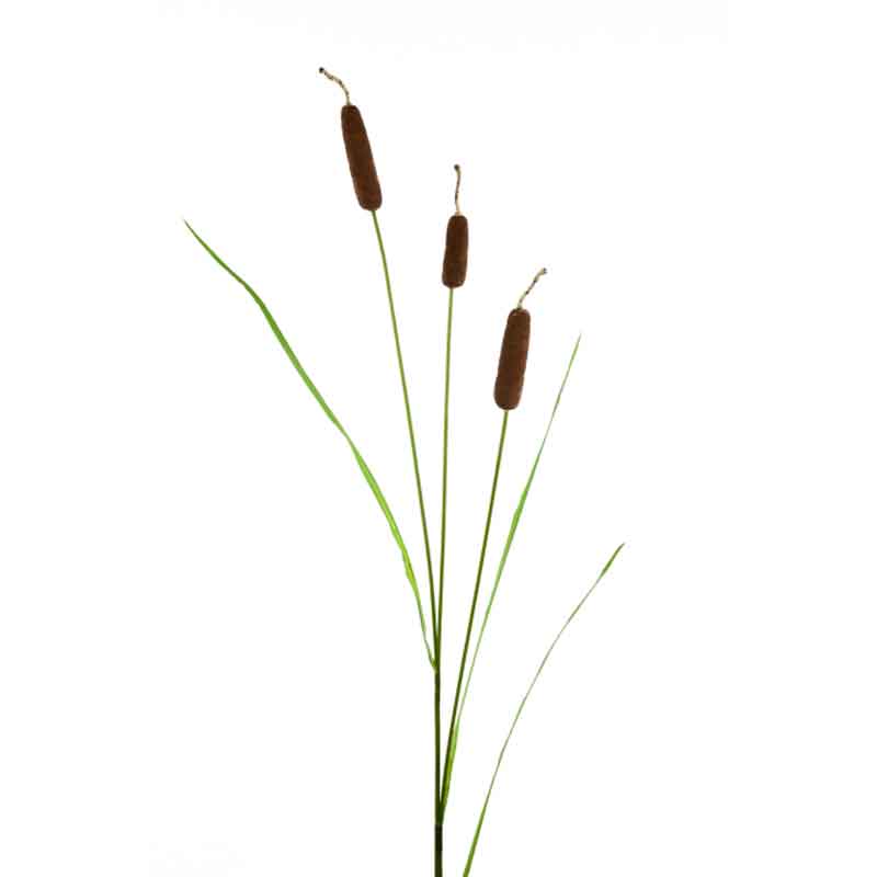 Floralsilk Large Bull Rush Stem - 3 Heads (93cm) image 0